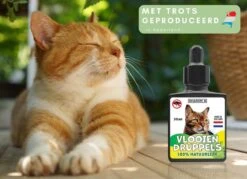 Natuurlijke Vlooiendruppels Voor Katten - Vanaf 4 Kg - 100% Natuurlijk - Vlooien - Zonder Giftige Pesticiden - 30 Ml - Speciale Formule Voor Katten - Vachtdruppels - Made In Holland -Huisdierenserie Winkel 1200x872 5
