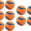 Chuckit! 10 Chuckit Ballen In Emmer - Chuckit - Veilig Voor Gebit - Hondenbal - Past In Werpstok 1 Chuckit! 10 Chuckit Ballen In Emmer - Chuckit - Veilig Voor Gebit - Hondenbal - Past In Werpstok -Huisdierenserie Winkel 1200x878