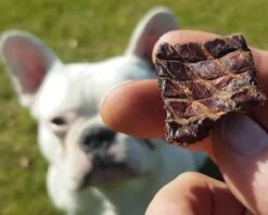 Topdiervoeding Runderlong Hondensnacks - Vers Gedroogd - Knapperig - 1 KG -Huisdierenserie Winkel 1200x960 2