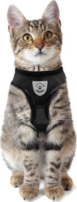 Merkloos Kattentuigje Met Looplijn | Zwart Kattenharnas | Easy Step In | Kattenriem | Kattenlijn | Kattentuig | Maat S 15 Merkloos Kattentuigje Met Looplijn | Zwart Kattenharnas | Easy Step In | Kattenriem | Kattenlijn | Kattentuig | Maat S -Huisdierenserie Winkel 457x1200