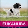 Eukanuba Dog Adult Medium Breed - Kip - Hondenvoer - 15 Kg 1 Eukanuba Dog Adult Medium Breed - Kip - Hondenvoer - 15 Kg -Huisdierenserie Winkel 548x1200