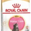 Royal Canin Maine Coon Kitten - Kattenvoer - 4 Kg -Huisdierenserie Winkel 578x1200