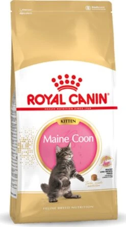 Royal Canin Maine Coon Kitten - Kattenvoer - 4 Kg -Huisdierenserie Winkel 668x1200