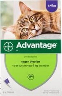 Advantage 80 Vlooiendruppelsl Kat Vanaf 4 Kg - 4 Pipetten -Huisdierenserie Winkel 773x1200 1