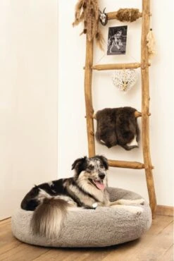 Beeztees Orthopedische Hondenmand Jaxx Grijs 70 Cm - Hond -Huisdierenserie Winkel 801x1200