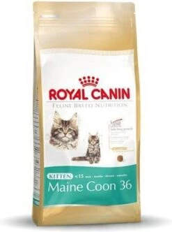 Royal Canin Maine Coon Kitten - Kattenvoer - 4 Kg -Huisdierenserie Winkel 893x1200 2