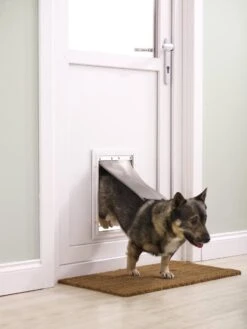 Petsafe 660 Hondenluik - Tot 100 Kg - Aluminium -Huisdierenserie Winkel 900x1200 3