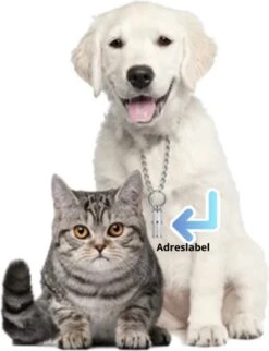 Merkloos Zelfverwarmende Dierendeken Zonder Stroom Thermo Deken Hond Kat Inclusief Adreslabel 70 X 47 Cm -Huisdierenserie Winkel 920x1200