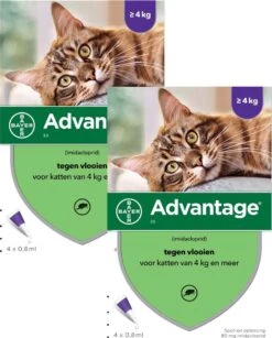 Bayer Advantage 80 Kat 4 Pip - Anti Vlooienmiddel - 2 X 0.8 Ml - > 4 Kg -Huisdierenserie Winkel 965x1200
