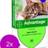 Bayer Advantage 80 Kat 4 Pip - Anti Vlooienmiddel - 2 X 0.8 Ml - > 4 Kg -Huisdierenserie Winkel 968x1200