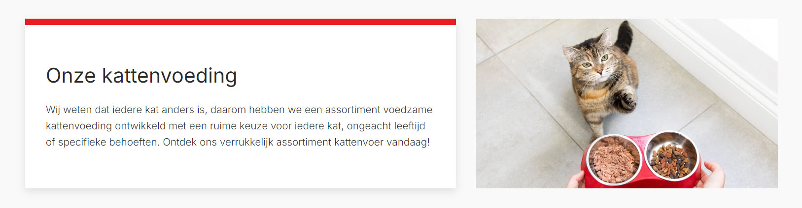 Huisdierenserie Winkel -Huisdierenserie Winkel gjj